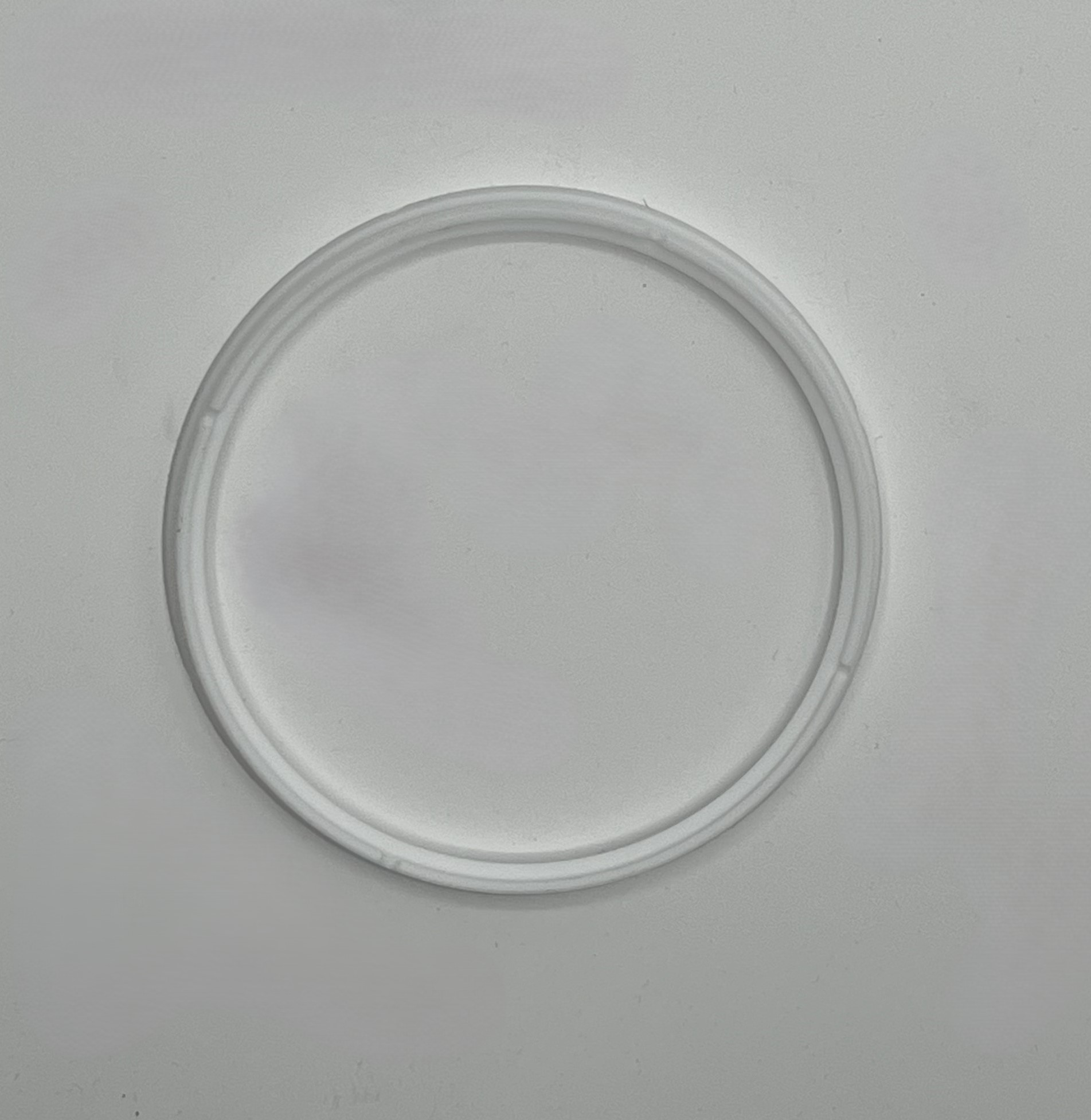 Fisher™ 13A4936X012 Disc